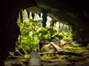Malajsie - jeskynní vchod do NP Niah (Dreamstime)
